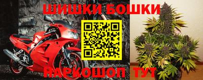 индика Тула